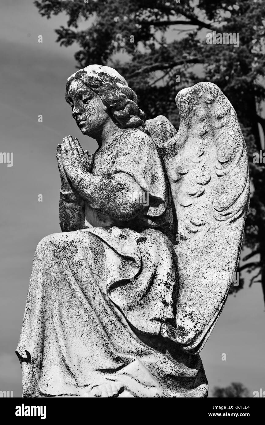 Kneeling Angel Stock Photos & Kneeling Angel Stock Images - Alamy