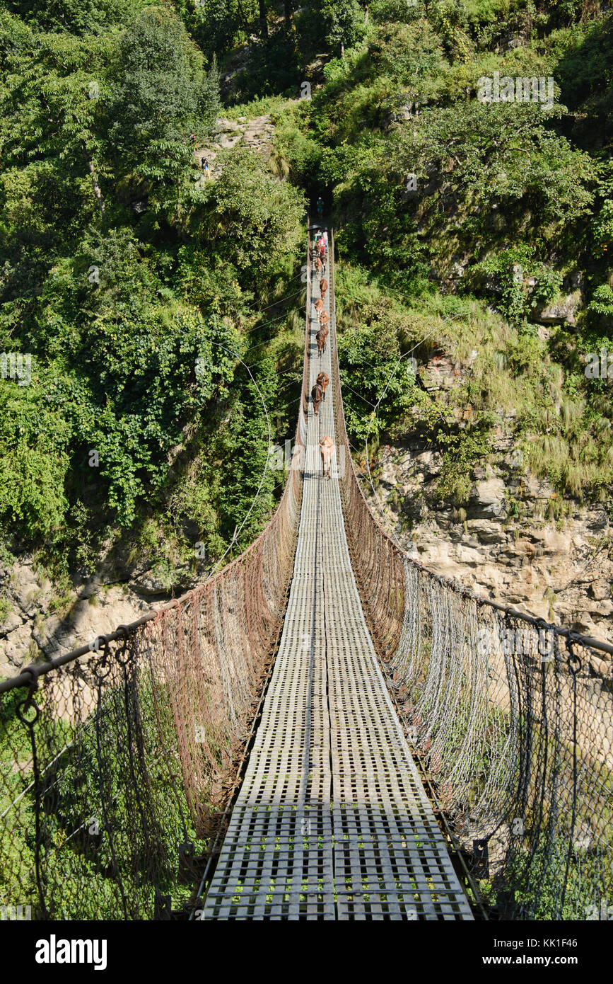 Suspension bridge on the Manaslu Circuit Trek, Nepal Stock Photo Alamy