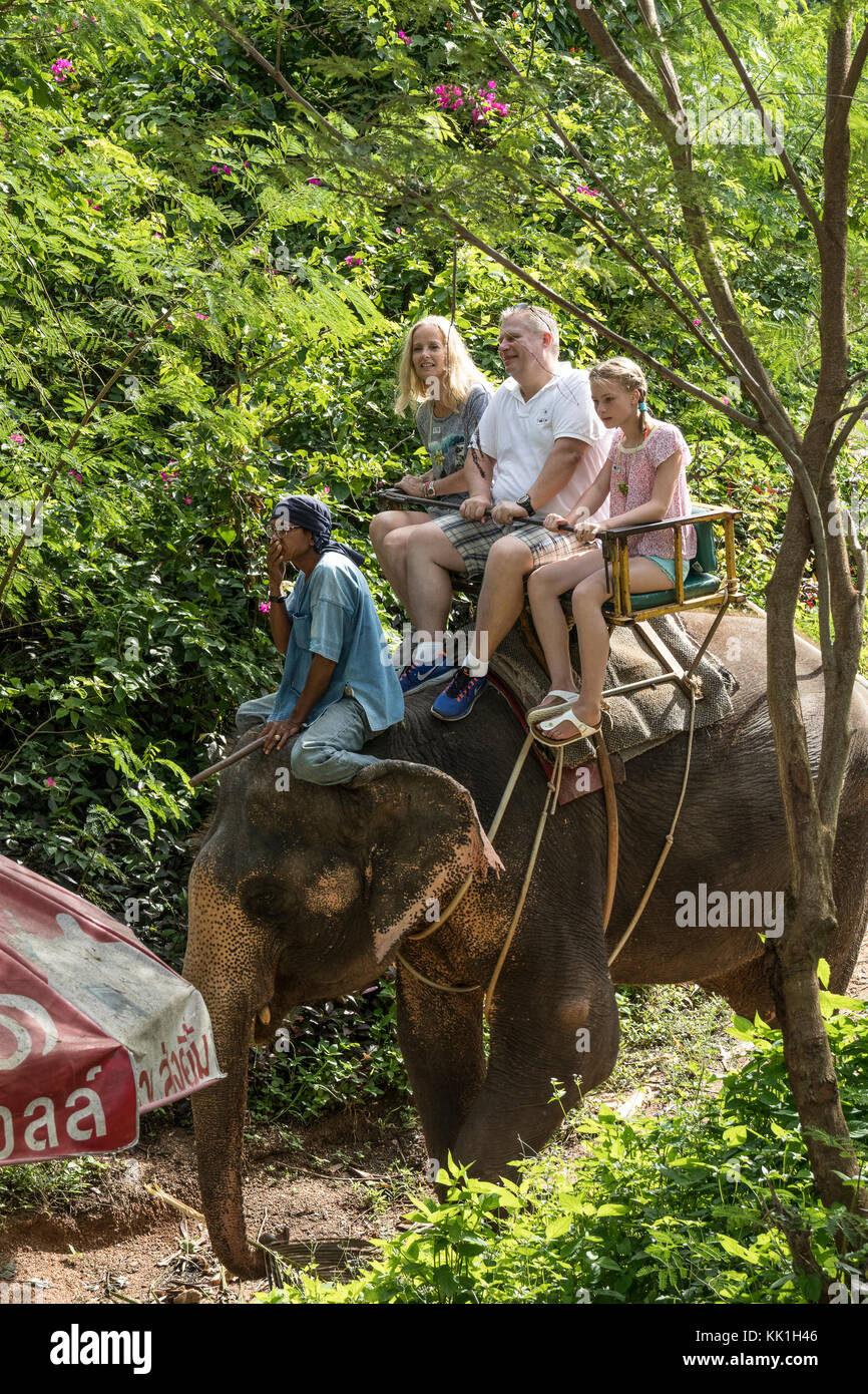 Elephant trekking on Safari in Koh Samui, Thailand Stock Photo Alamy