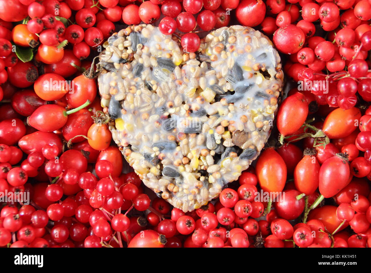 Heart shaped bird feeder made with seeds and melted fat, shaped in a cookie cutter, decorated with wild bird food: rose hips, berries and crab apples Stock Photo