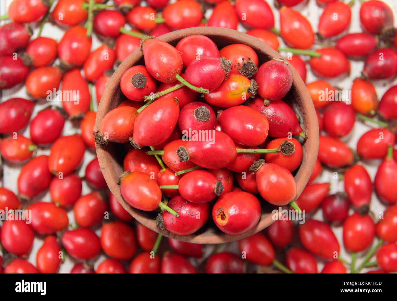 Freshly picked hedgerow rose hips in a bowl. UK Stock Photo