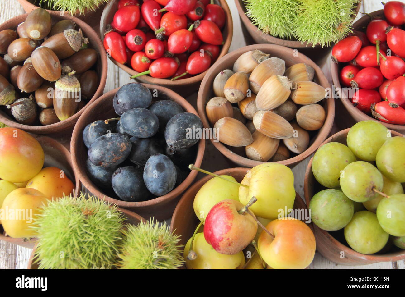 Freshly foraged autumn fruits, nuts and berries (sweet chestnuts