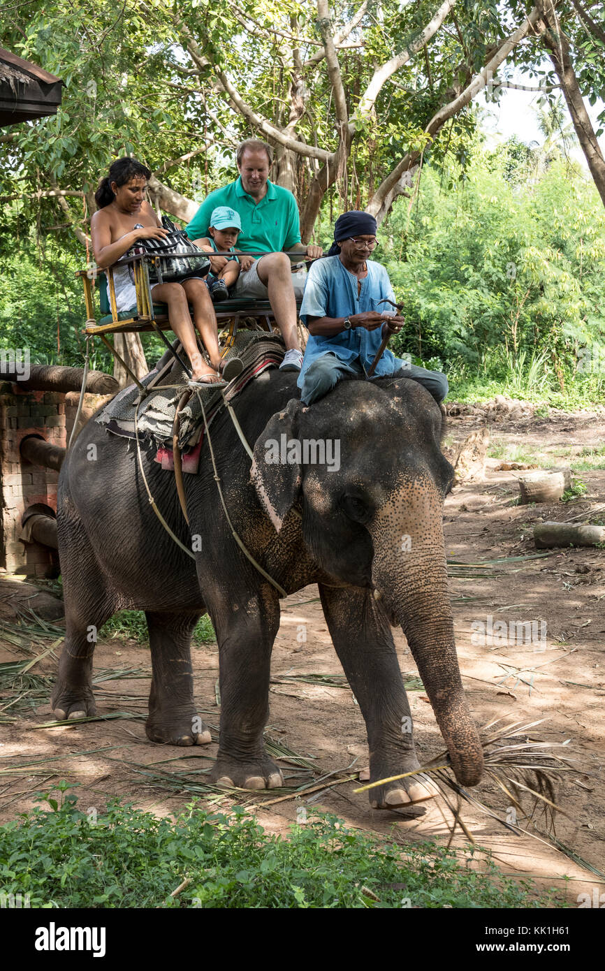 Elephant trekking on Safari in Koh Samui, Thailand Stock Photo Alamy