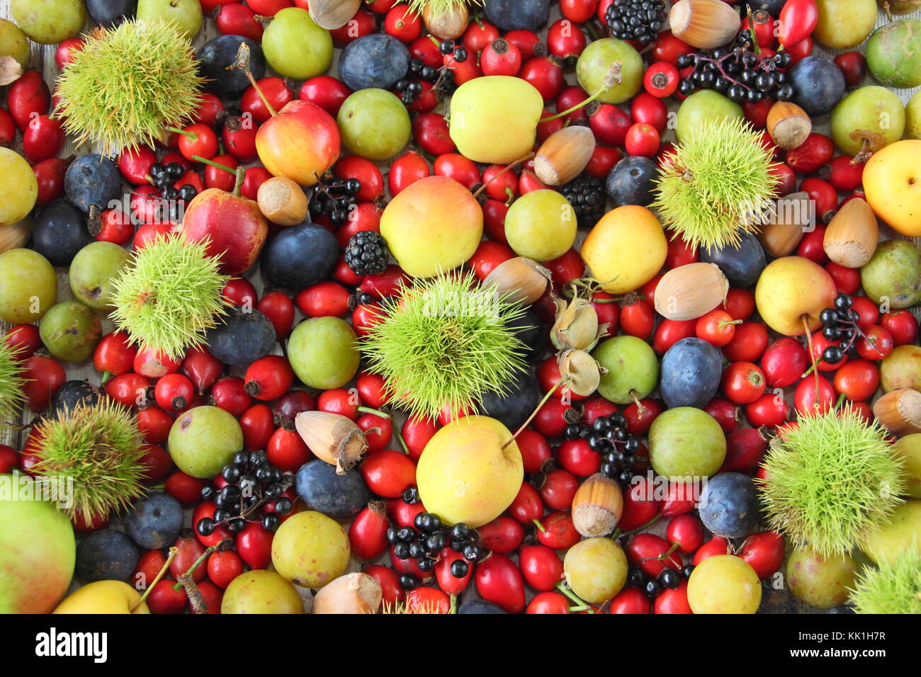 Freshly picked autumn fruits, nuts and berries including sweet chestnut