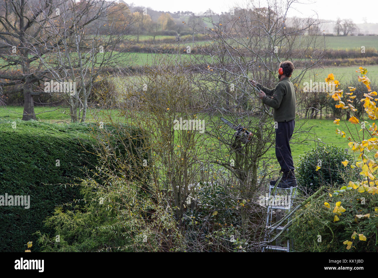 Trimming bushes hires stock photography and images Alamy