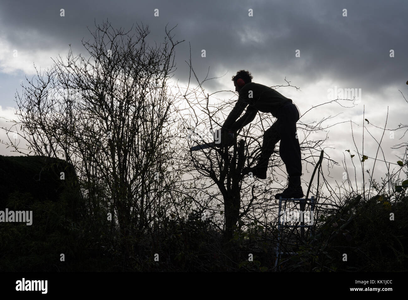 Silhouette of hedge trimmer hires stock photography and images Alamy