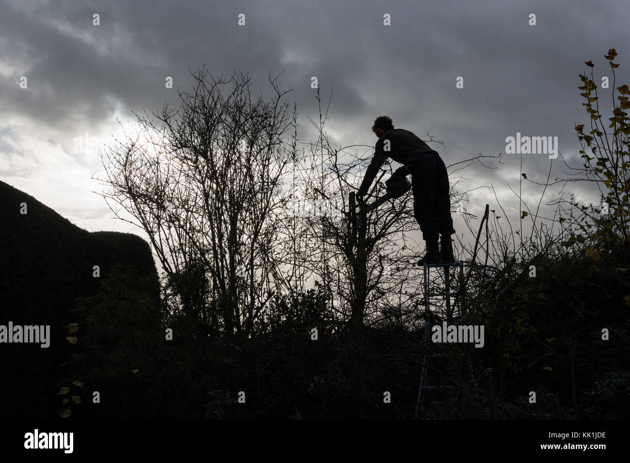 Trim silhouette hires stock photography and images Alamy