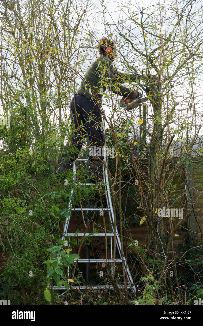 Hedge maintenance hires stock photography and images Alamy