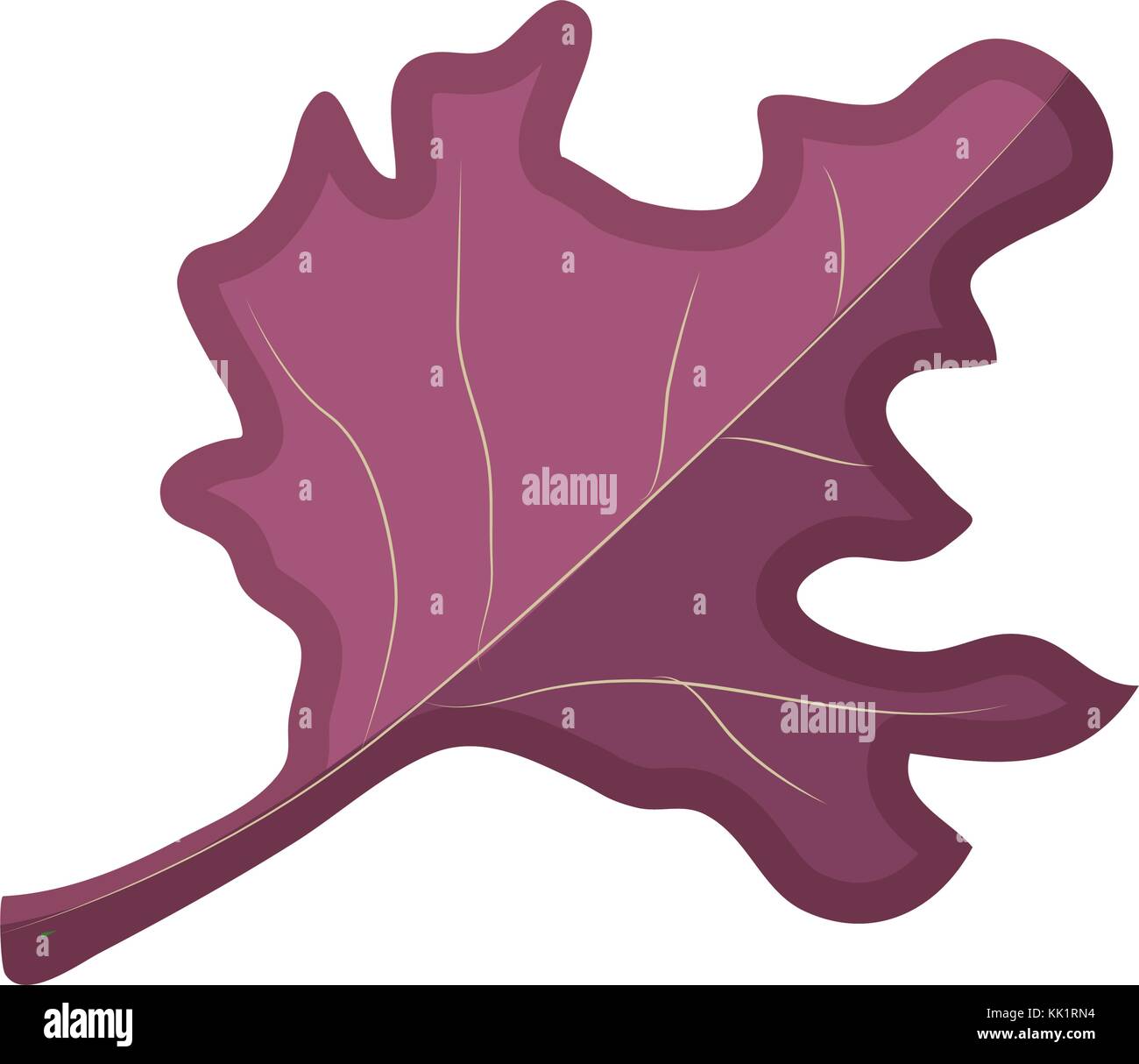 Isolated leaf design Stock Vector Image & Art - Alamy
