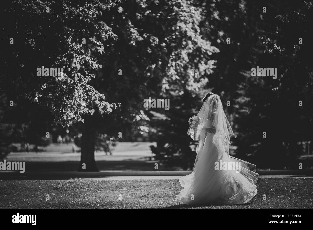Black and white phoro beautiful brunette bride on a walk in park Stock Photo