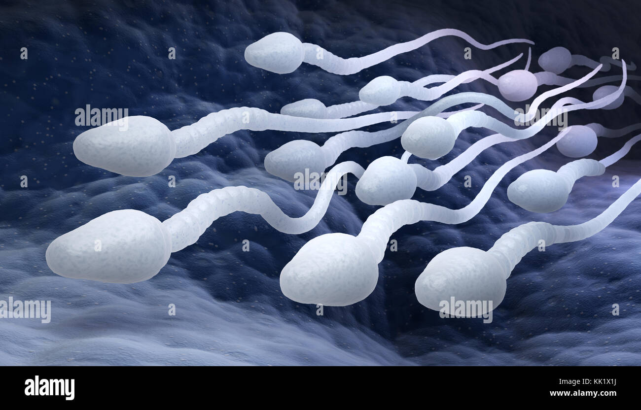 Male sperm cells. 3D illustration Stock Photo