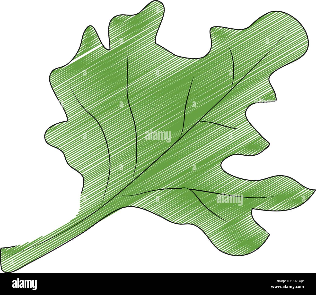 Isolated leaf design Stock Vector Image & Art - Alamy