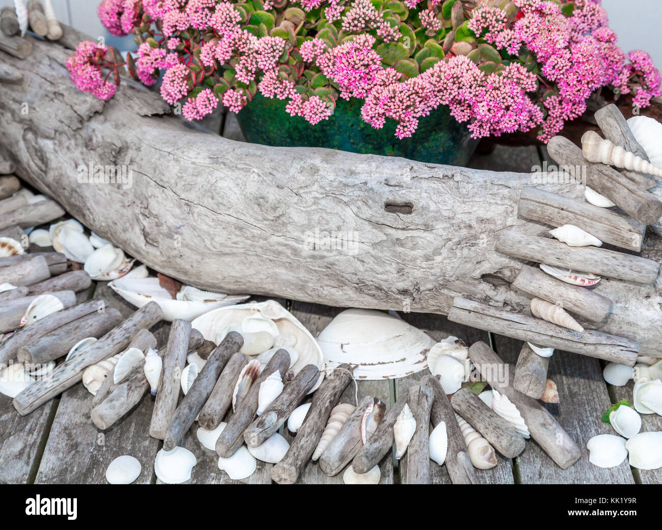 pink flowers with arranged found objects such as wood and shells Stock Photo