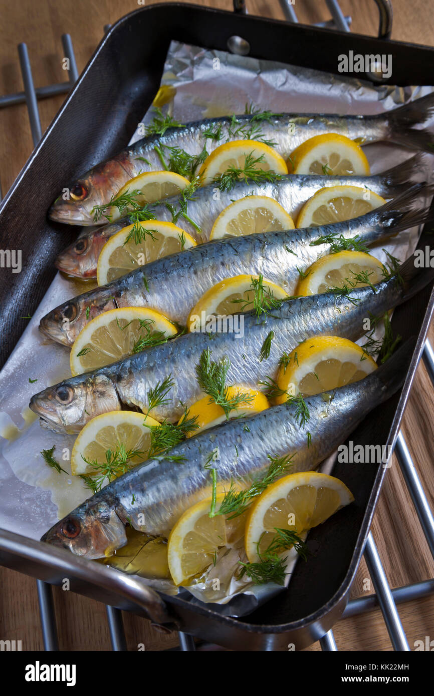 Oven ready sardines hires stock photography and images Alamy