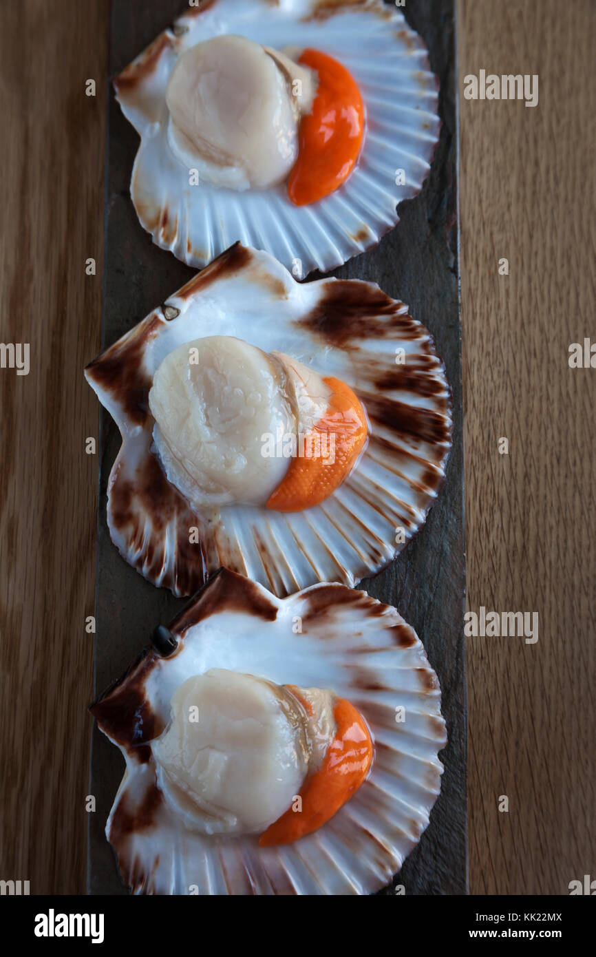 Three king scallops with corals in half shells on stone base. Portrait vertical format. Stock Photo