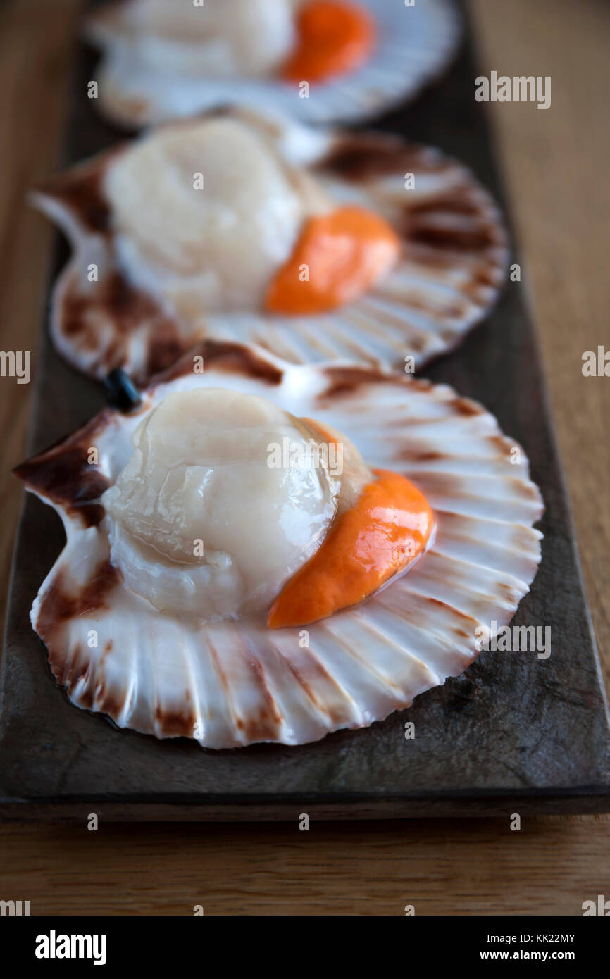 Three king scallops with corals in half shells on stone base. Portrait format. Stock Photo