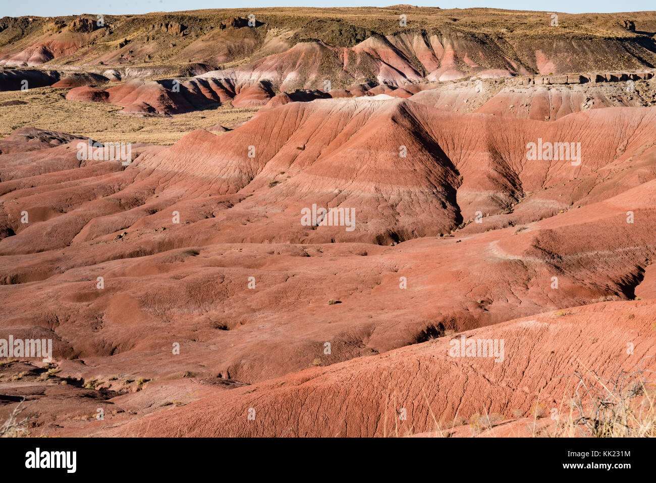 Painted Desert in the Petrified Forest National Park, Arizona Stock Photo