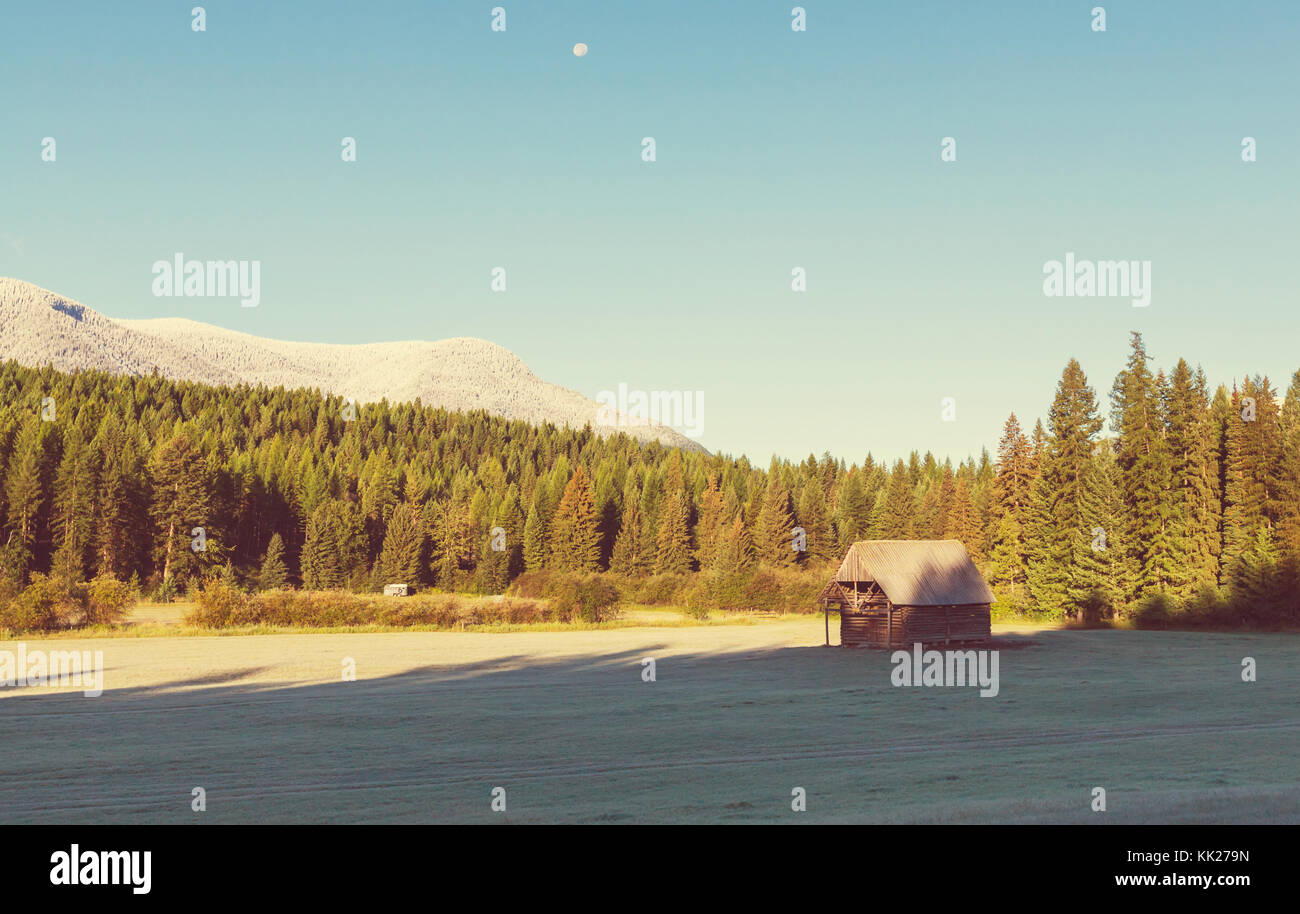 Field landscape on spring season Stock Photo - Alamy