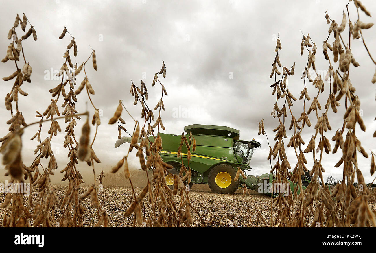 Grand Mound, Iowa, USA. 28th Sep, 2016. Joe Dierickx harvests soybeans Wednesday, Sept. 28, 2016, north of Grand Mound, Iowa. Credit: Jeff Cook/Quad-City Times/ZUMA Wire/Alamy Live News Stock Photo