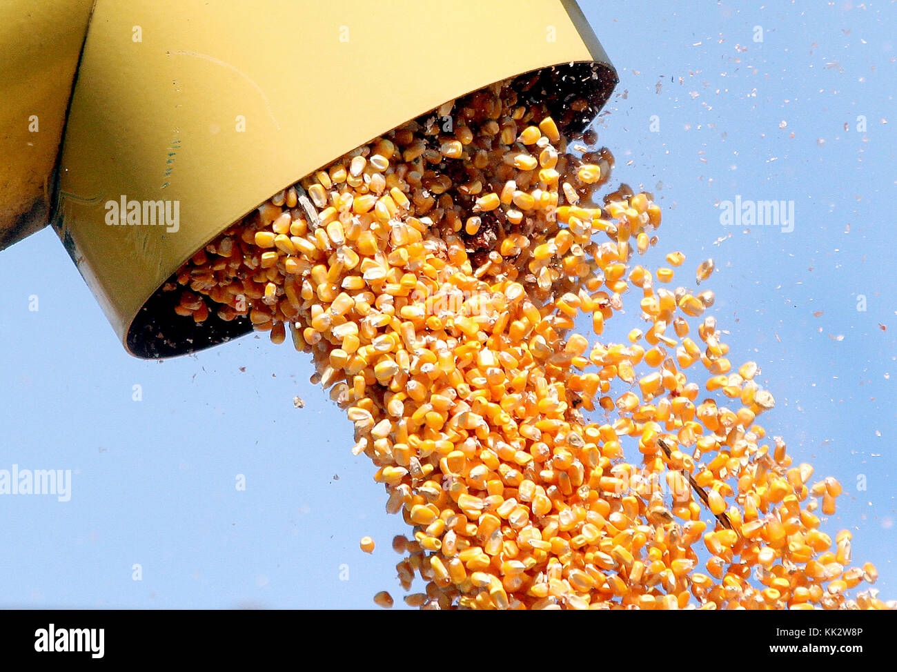 Eldridge, Iowa, USA. 25th Apr, 2013. Farmer Steve Dexter loads corn
