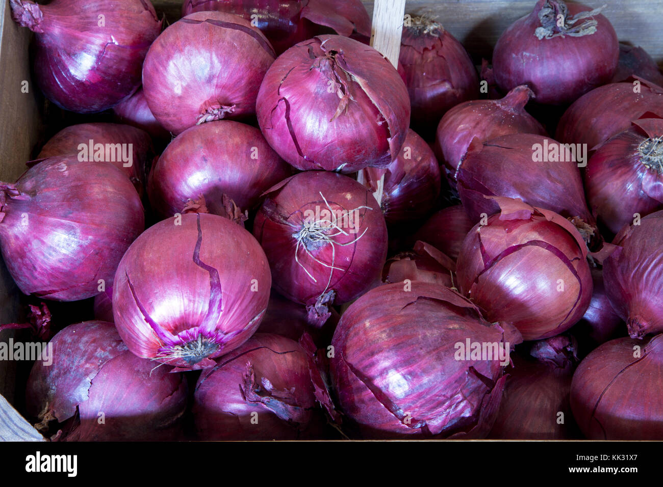 Red onions on display at a farm shop Stock Photo - Alamy