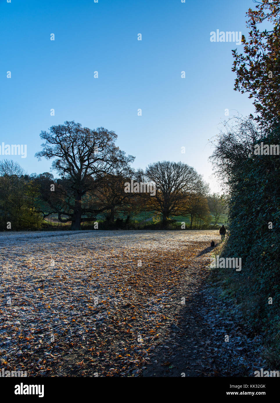 Winter morning walk in the Cotswolds Stock Photo