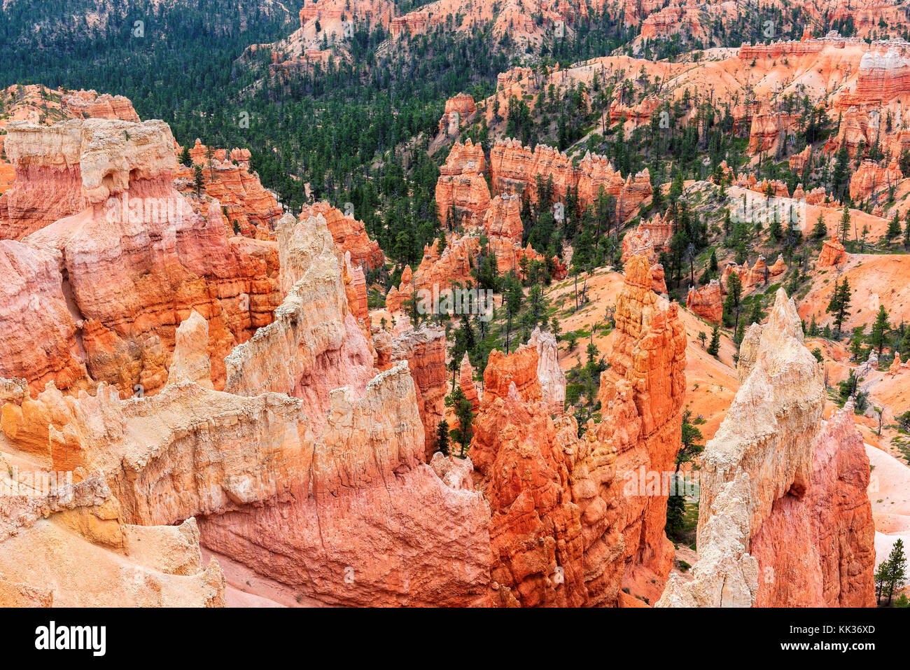 Bryce Canyon National Park Stock Photo