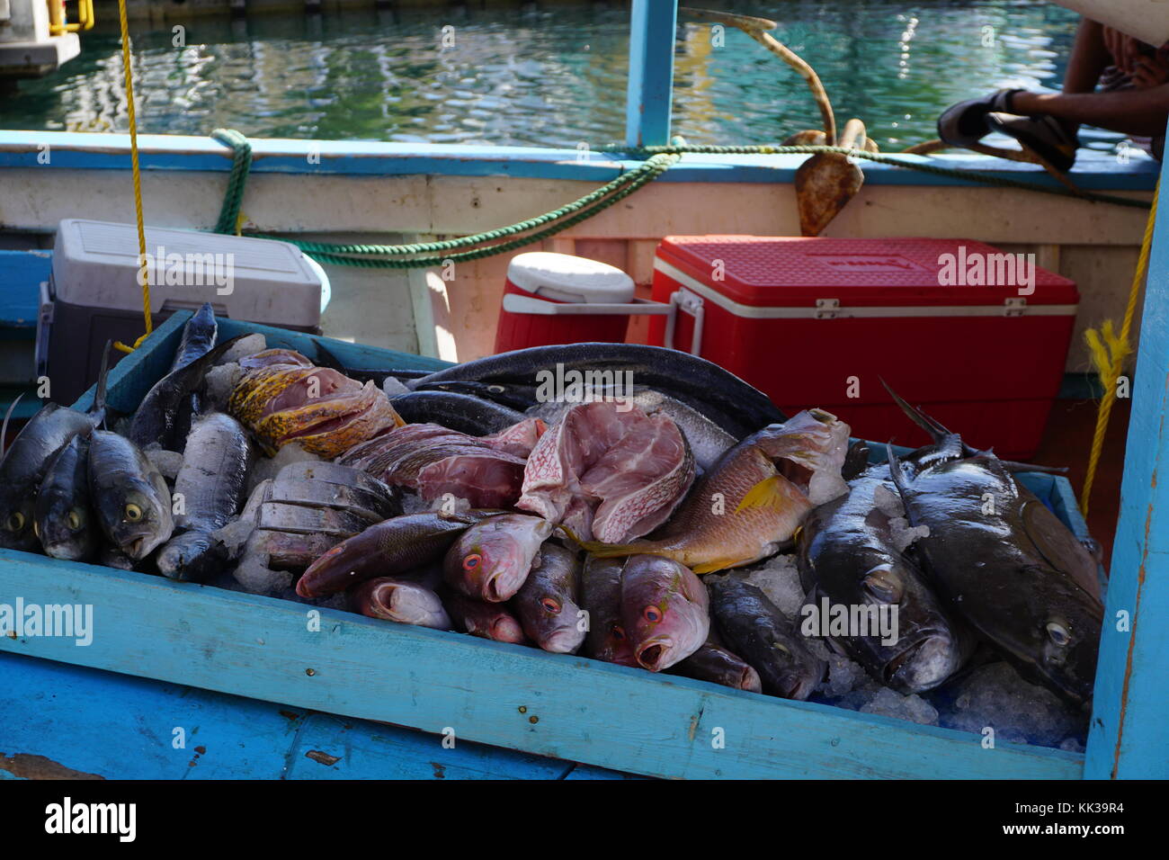 Fresh fish market Willemstad, Curacao Stock Photo Alamy