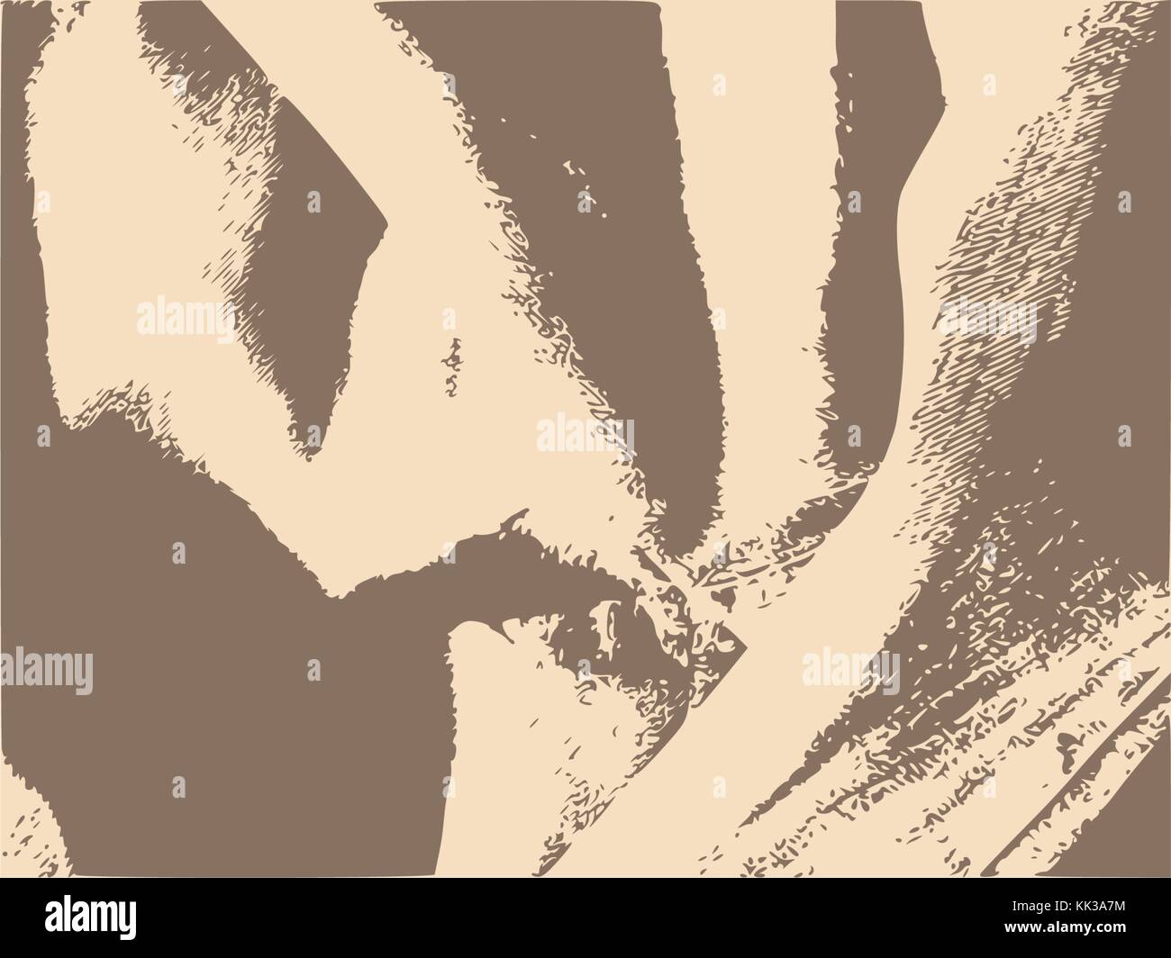 Distress Overlay Background. Grunge Fiber Texture Stock Vector Image ...