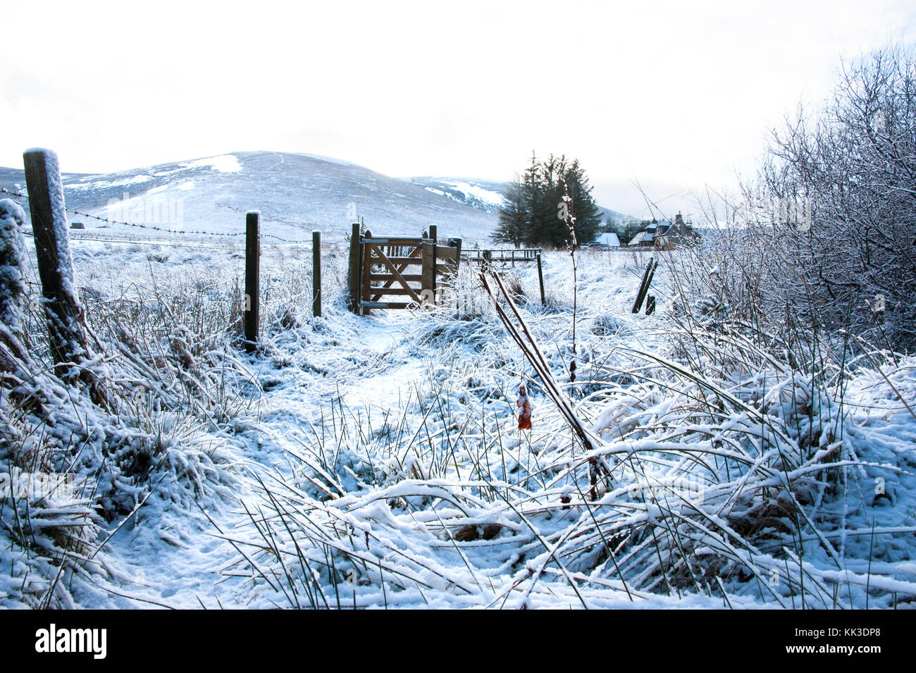 Winter in Glenlivet Stock Photo