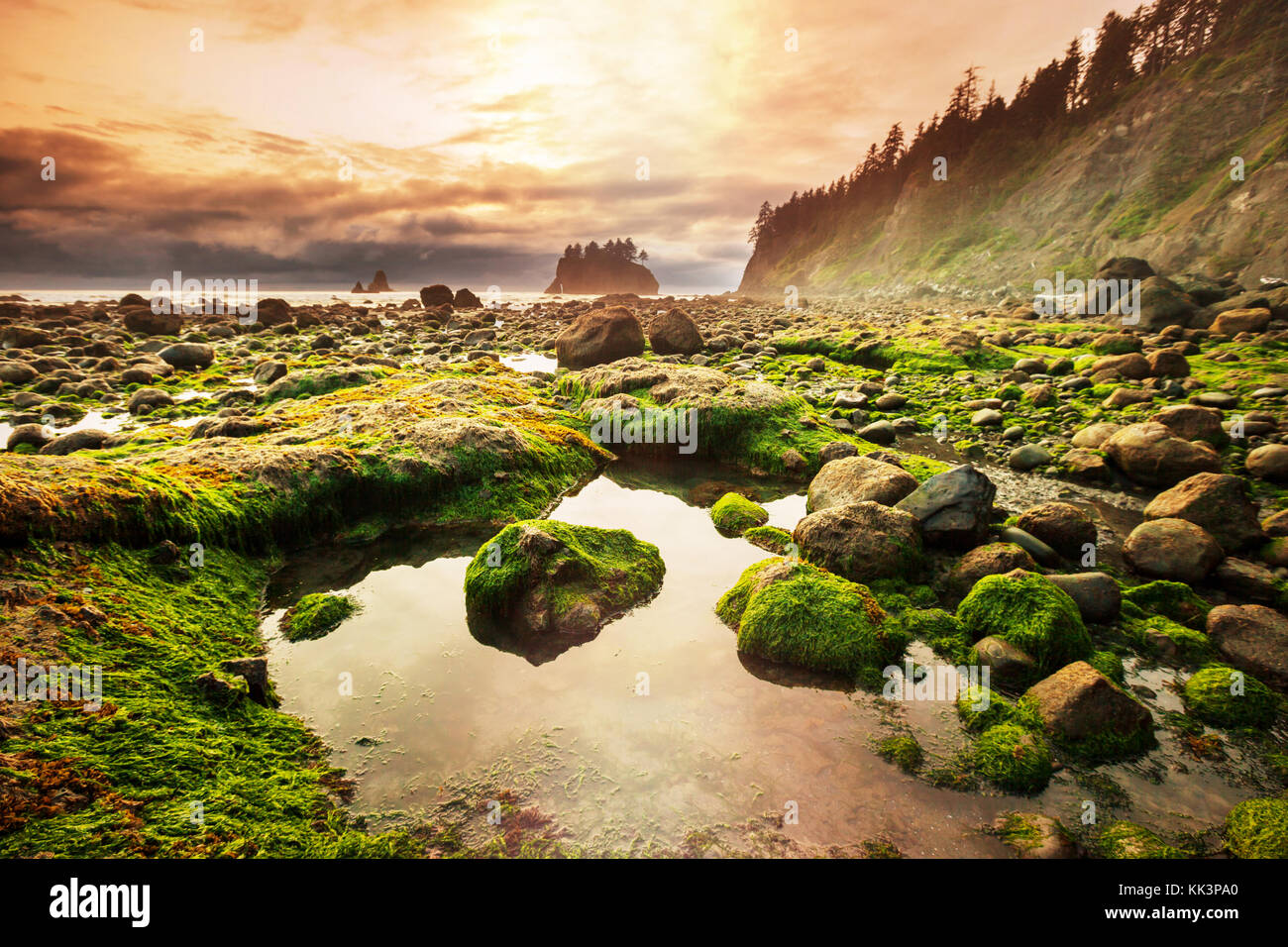 Olympic national park images