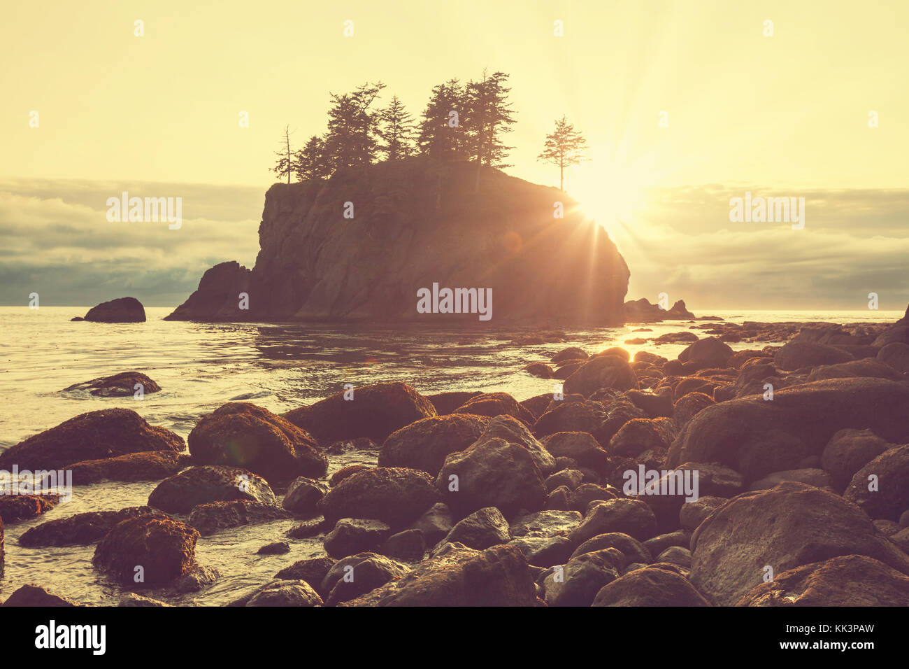 Olympic National Park Images – A Treasure Trove of Natural Splendor