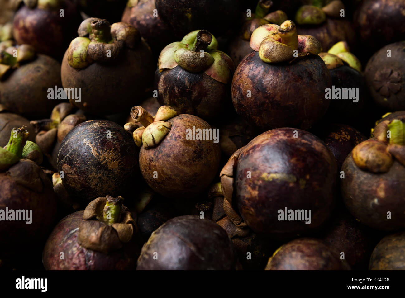 Mangosteen, also called purple mangosteen Stock Photo