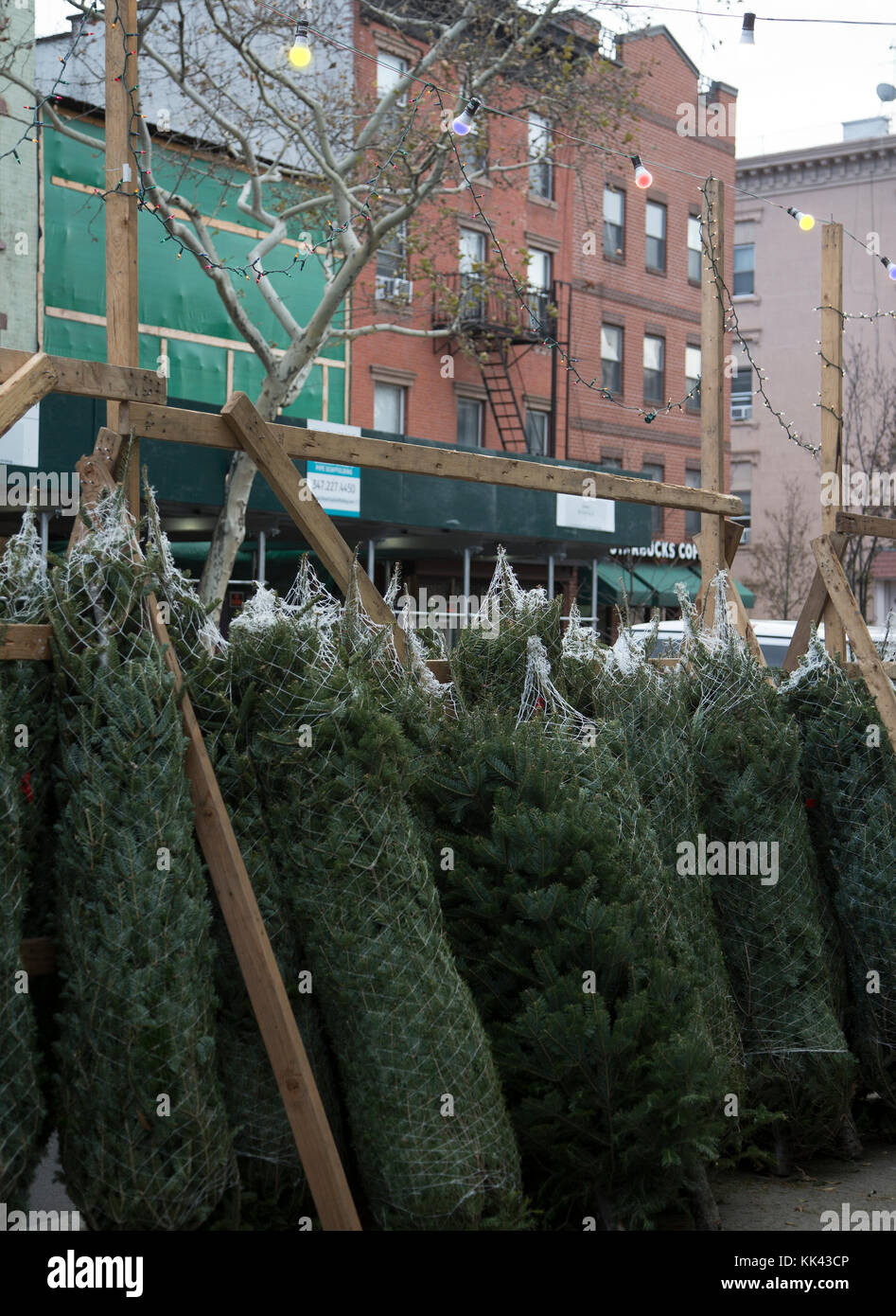 Carroll Gardens New York High Resolution Stock Photography and Images