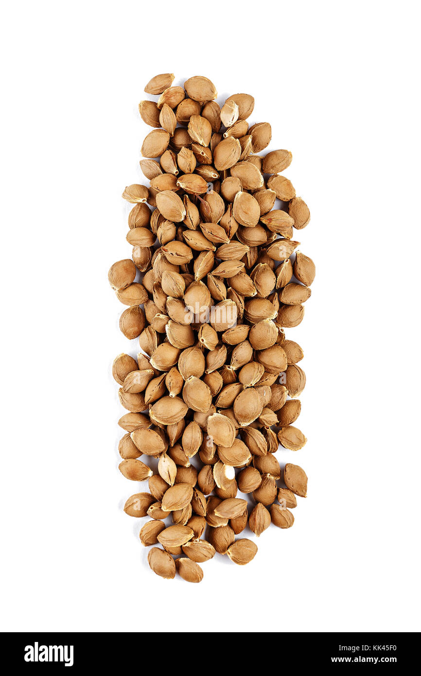good for health, apricot pits isolated. use in food and cosmetics Stock