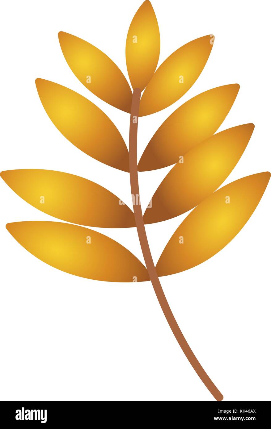 Autumn leaf. Autumn maple leaf isolated on a white background Stock ...