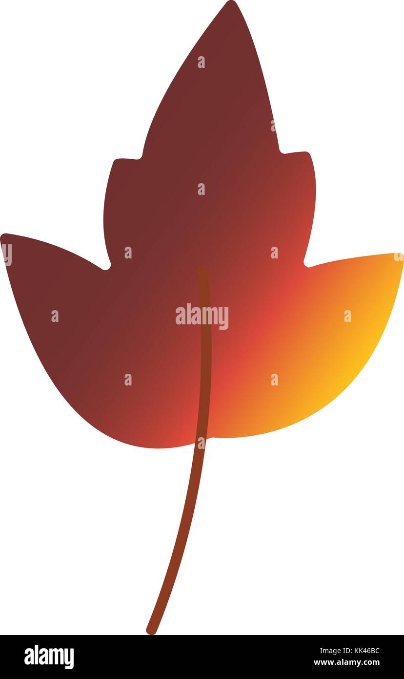 Autumn leaf. Autumn maple leaf isolated on a white background Stock ...