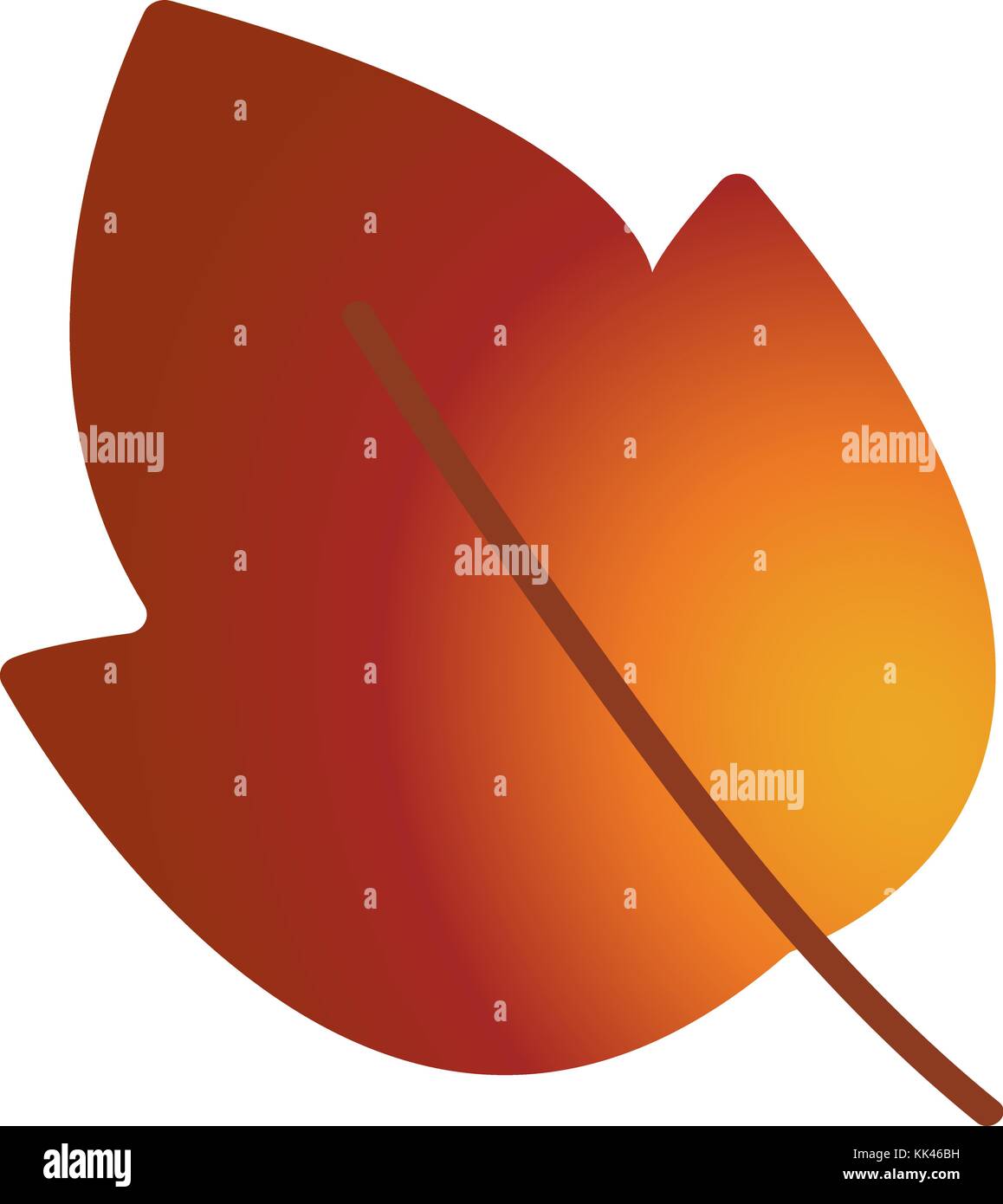 Autumn leaf. Autumn maple leaf isolated on a white background Stock ...