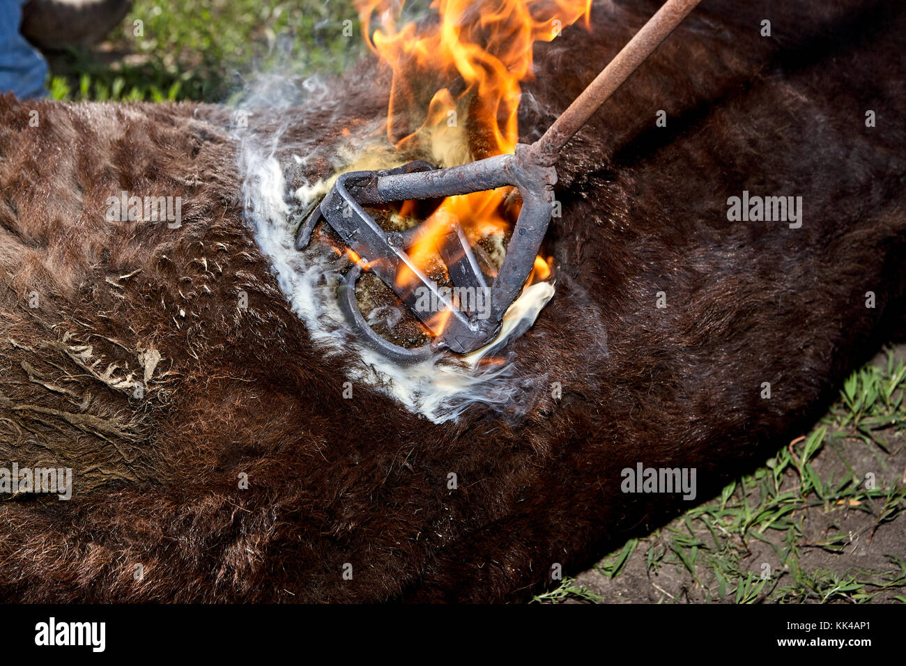 Branding Iron Stock Photos & Branding Iron Stock Images Alamy