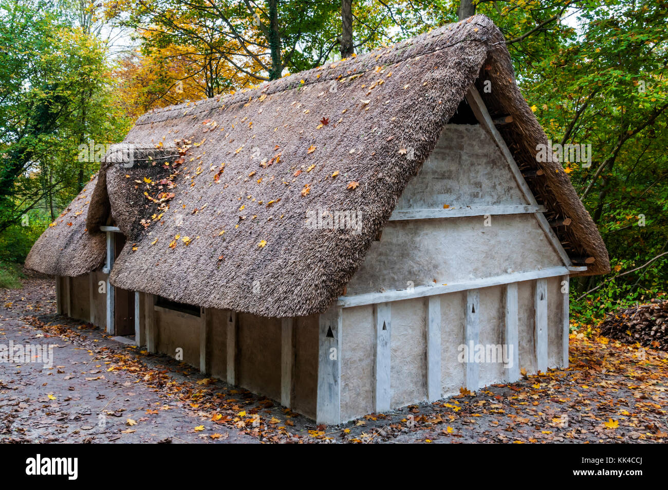 Reconstruction of an Anglo Saxon hall house at the Weald and Downland