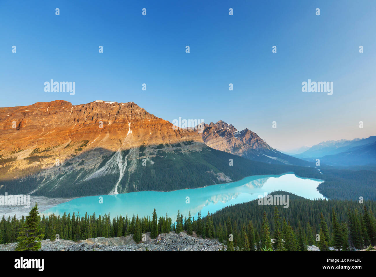 Peyto Lake in Banff National Park, Canada Stock Photo - Alamy