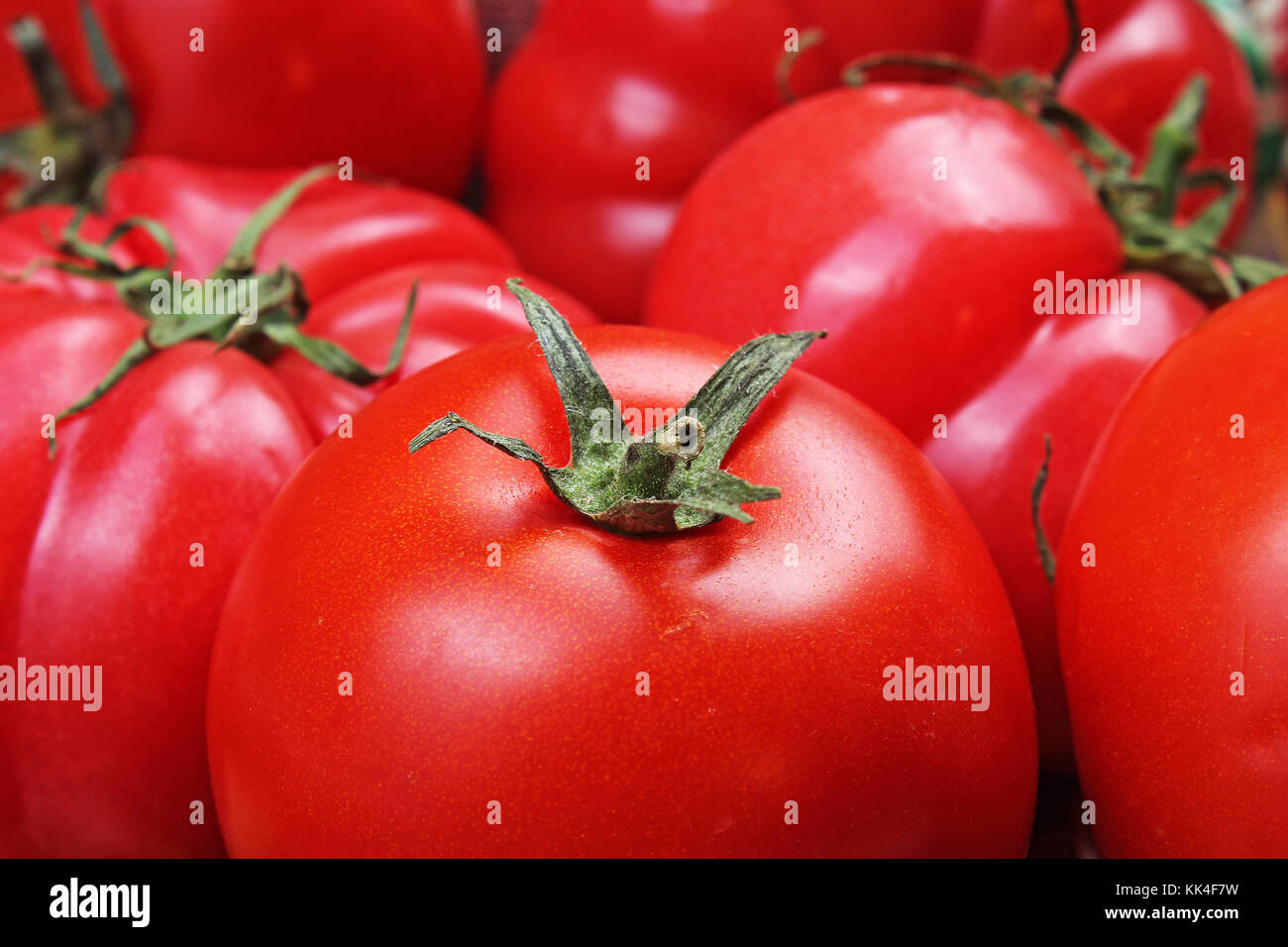 Tomato texture. Fresh big red tomatoes closeup background photo. Pile of tomatoes. Tomato pattern with studio lights. Stock Photo