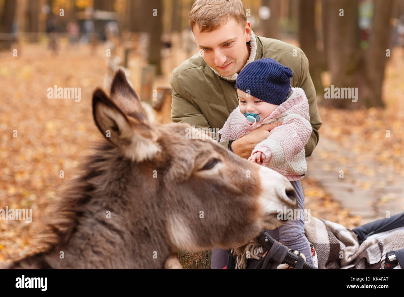 father with little daughter in contact zoo. Dad holding baby girl. Happy child stroking donkey in autumn park. Happy family, love to the animals, cont Stock Photo
