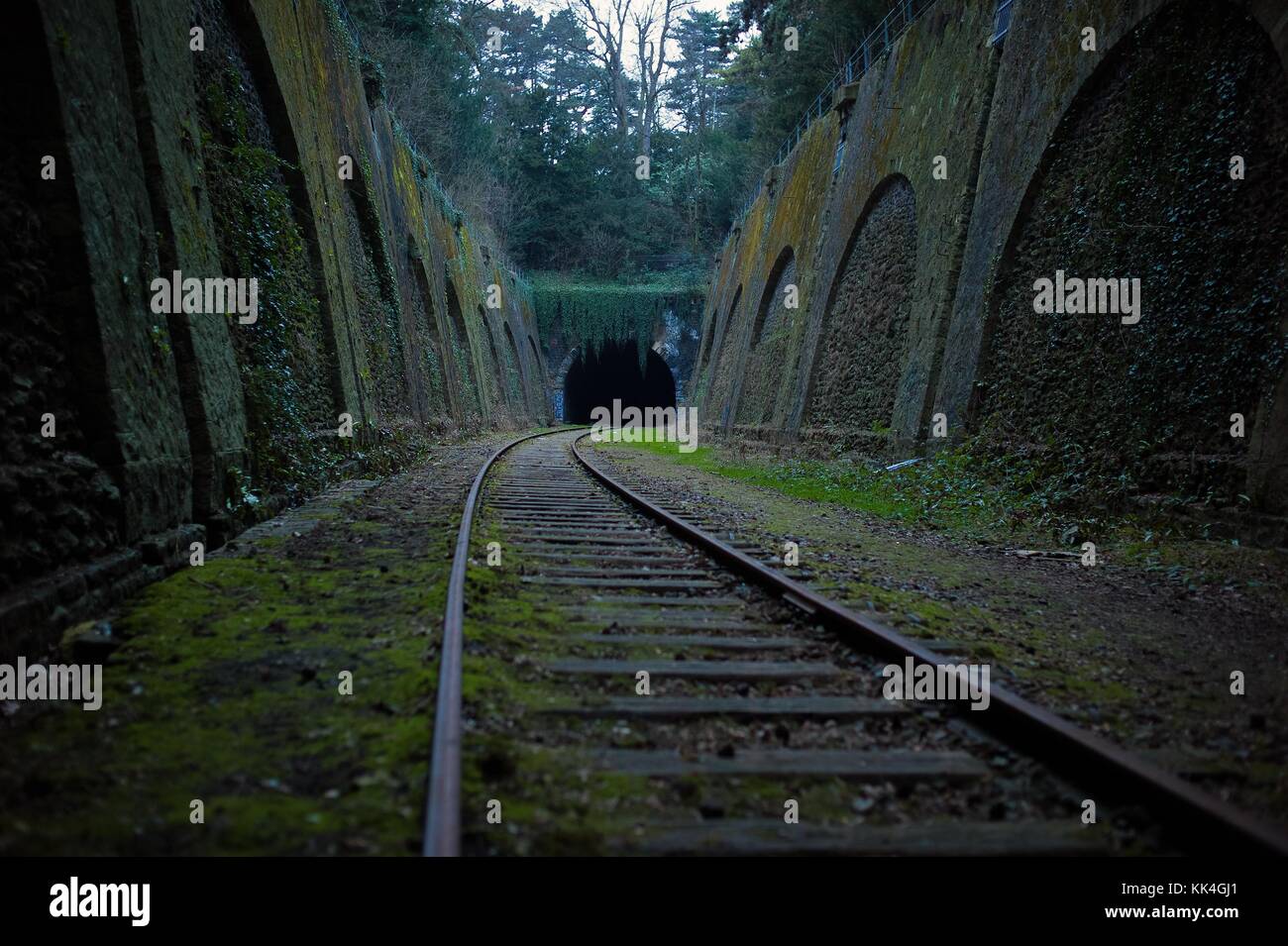 The life goes off the rails -  31/03/2013  -    -  Tunnel of the disused rail of the small belt in Paris, it is the path which I took to arrive and restart from Daniel's home, this old man ' is the Guard of the way ' for more than 17 years.   -  Sylvain Leser / Le Pictorium Stock Photo