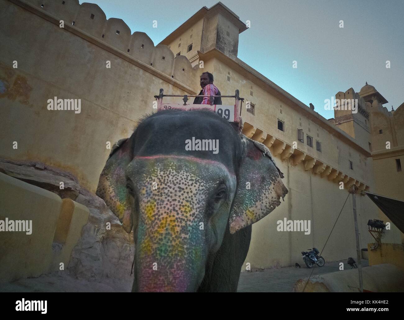 Jaipur the Pink City of Rajasthan Indian Glance -  11/01/2010  -    -   - Elephant at the Amber Fort in Jaipur around   -  Sylvain Leser / Le Pictorium Stock Photo