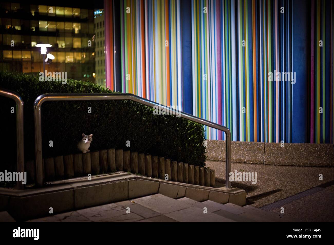 Part of the city -  15/10/2012  -    -  Night scene at la Defense   -  Sylvain Leser / Le Pictorium Stock Photo