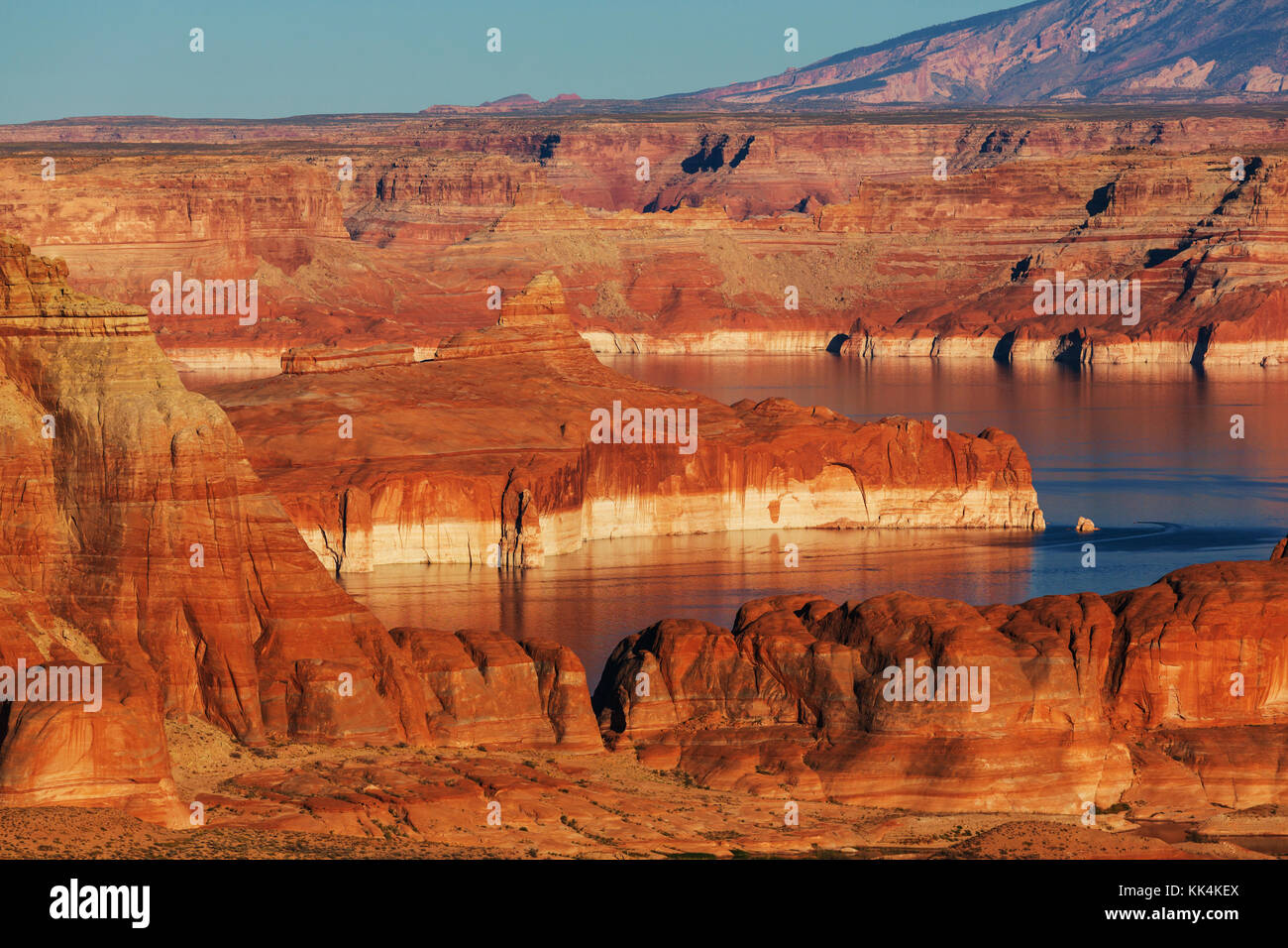 Lake Powell. Alstrom point. USA Stock Photo - Alamy