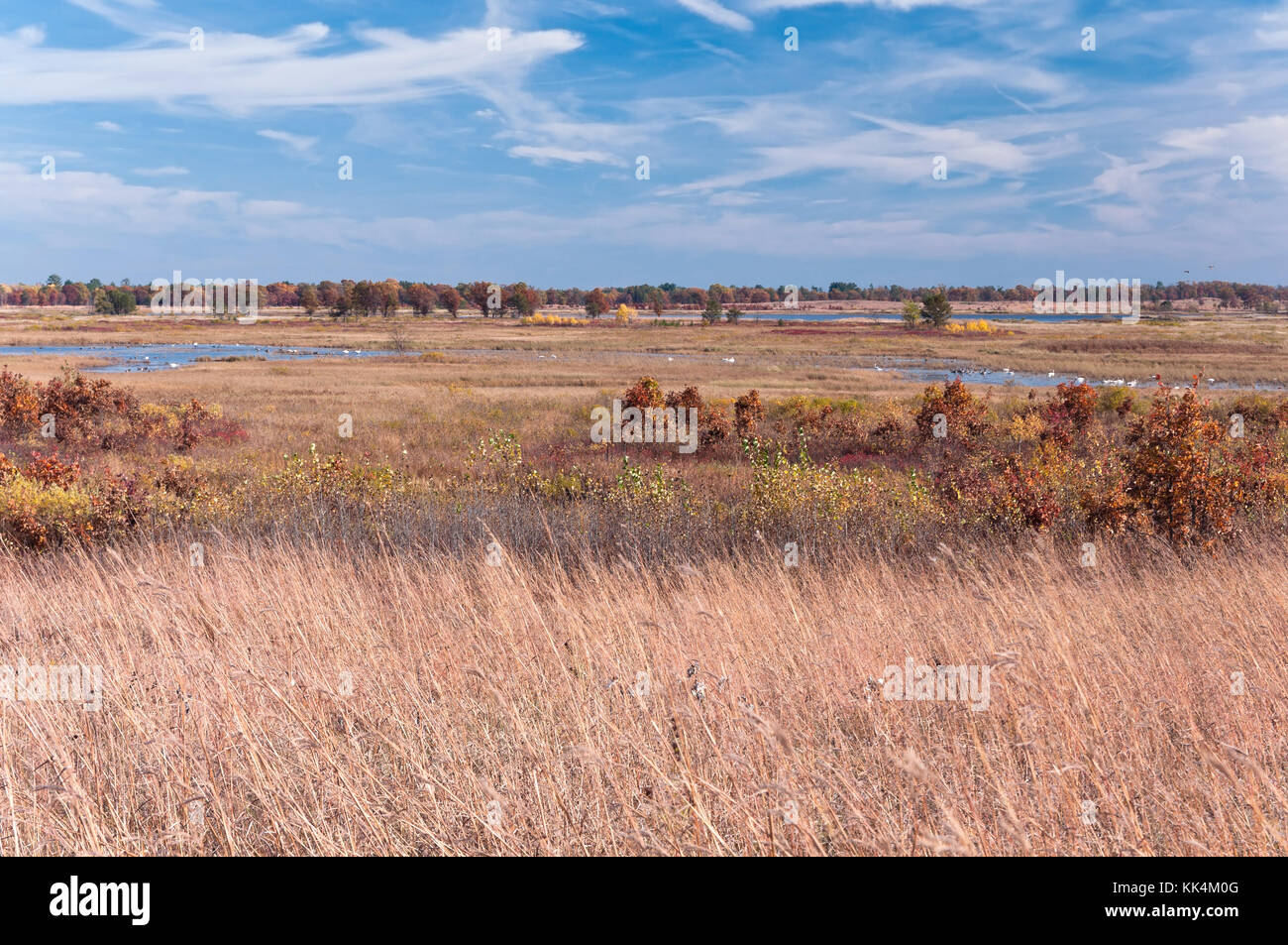 tall grass prairie and wetlands of necedah national wildlife refuge in central wisconsin Stock Photo