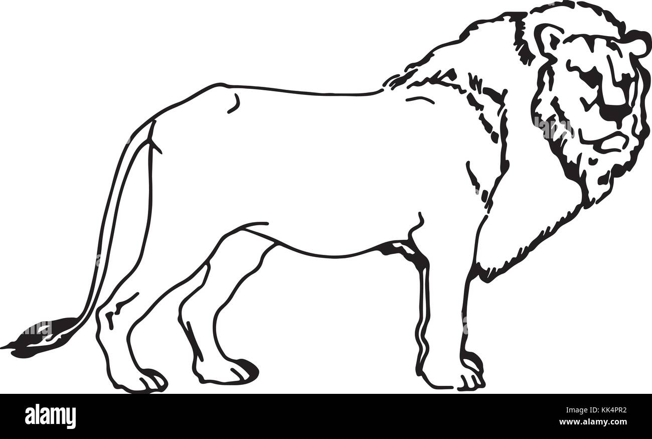 Black and white lion Stock Vector Images - Alamy
