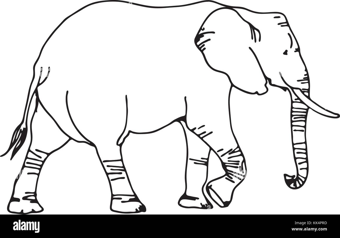 black and white vector elephant silhouette Stock Vector Image & Art Alamy